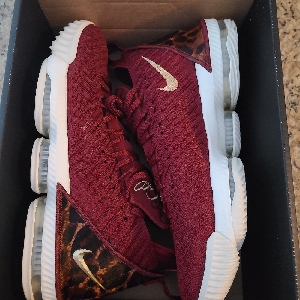 LeBron James 16 King Sneakers